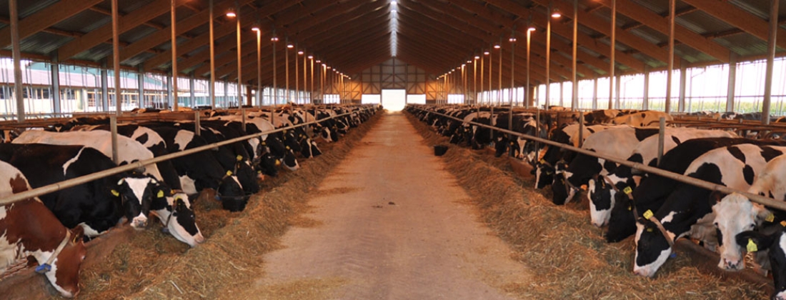 Modern agriculture depends on